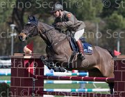 Coata Chika's Way TosTour2013- S5 2355 : Arezzo, Arezzo Equestrian Centre, Chika's Way, Coata Simone, Toscana Tour 2013, foto di Stefano Secchi ©